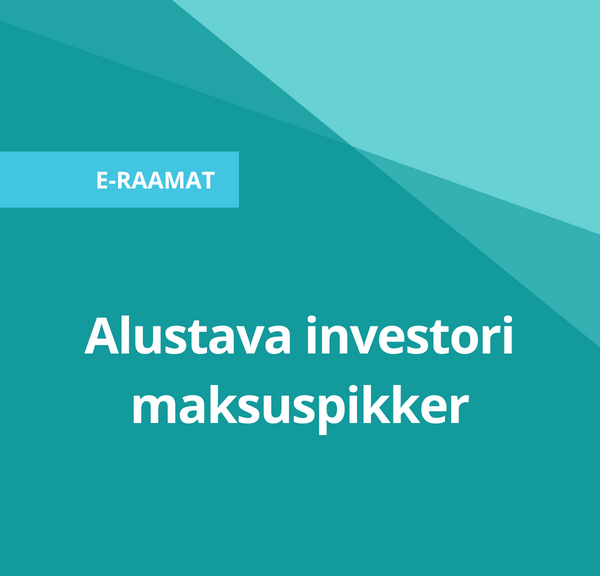 Cover Image for Alustava investori maksuspikker