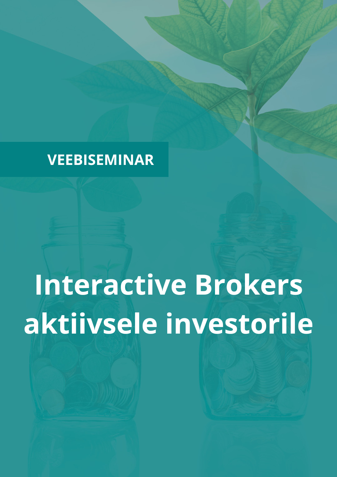 Image for Interactive Brokers aktiivsele investorile