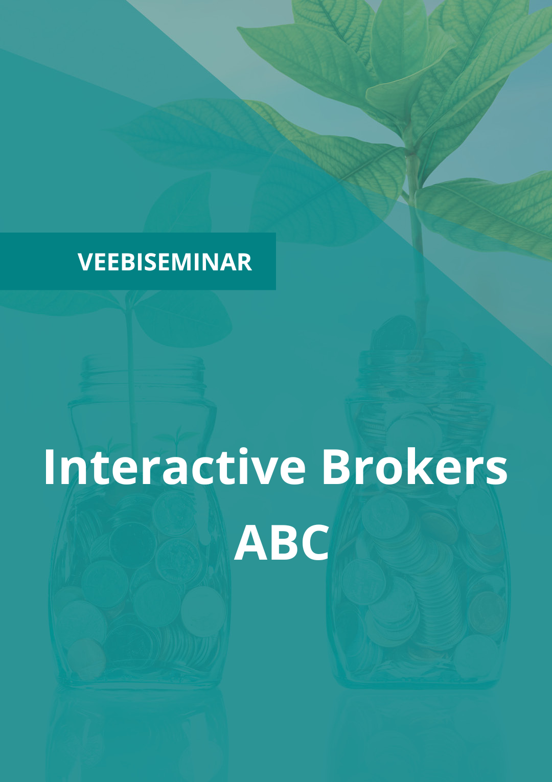 Image for Interactive Brokers ABC